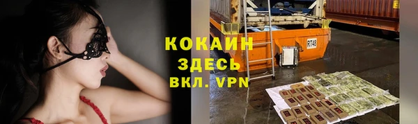 винт Алзамай