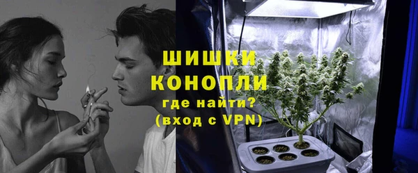 стаф Абаза