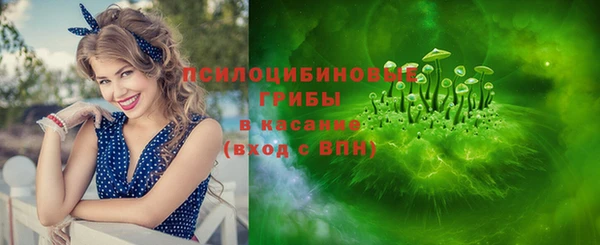 ПСИЛОЦИБИНОВЫЕ ГРИБЫ Алексин