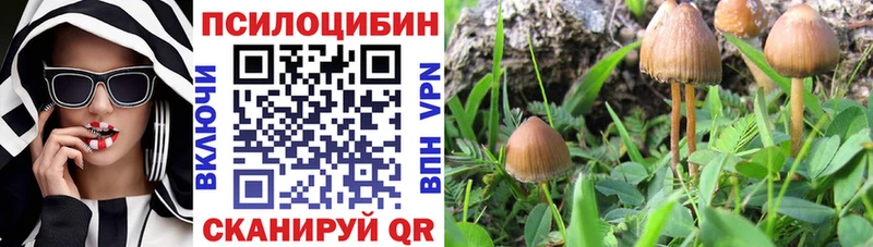 blacksprut   Подольск  Псилоцибиновые грибы прущие грибы 