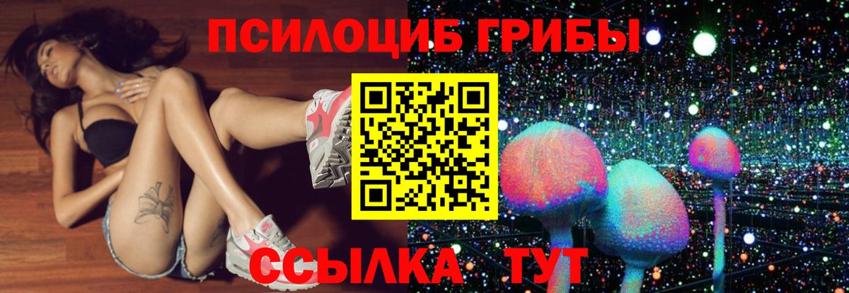 Псилоцибиновые грибы Magic Shrooms  Вход с VPN  цена наркотик  Подольск 